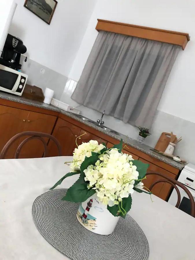 Villa Konstantina Szkaliá Kültér fotó